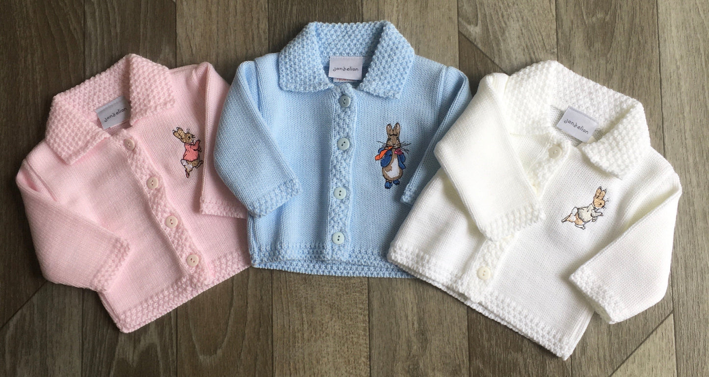Boys Peter Rabbit Bib